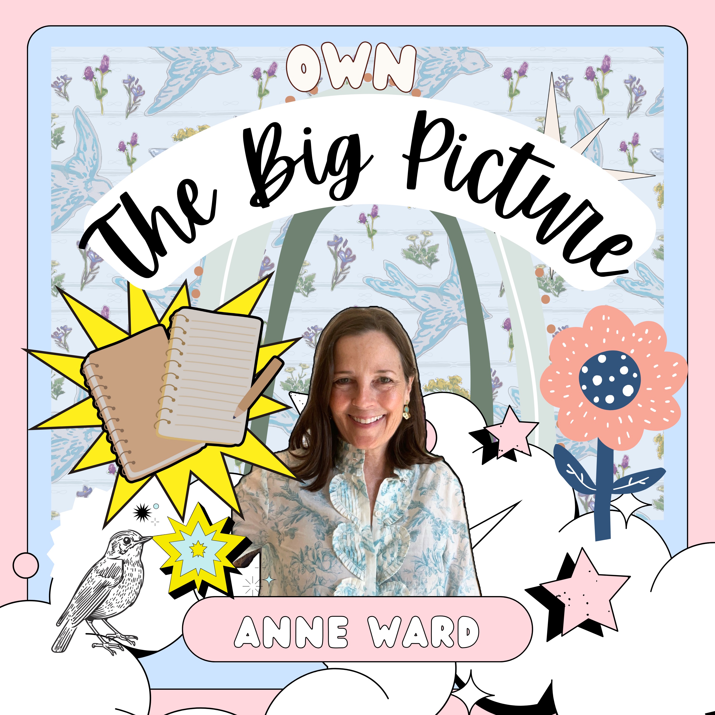 Own the Big Picture with Anne Ward