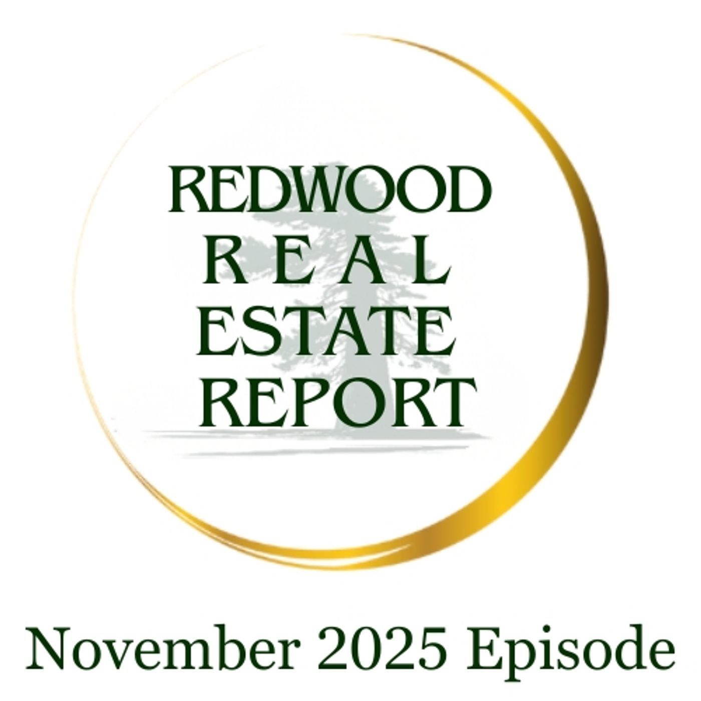 RRR Nov 2025 Month in Review episode artwork