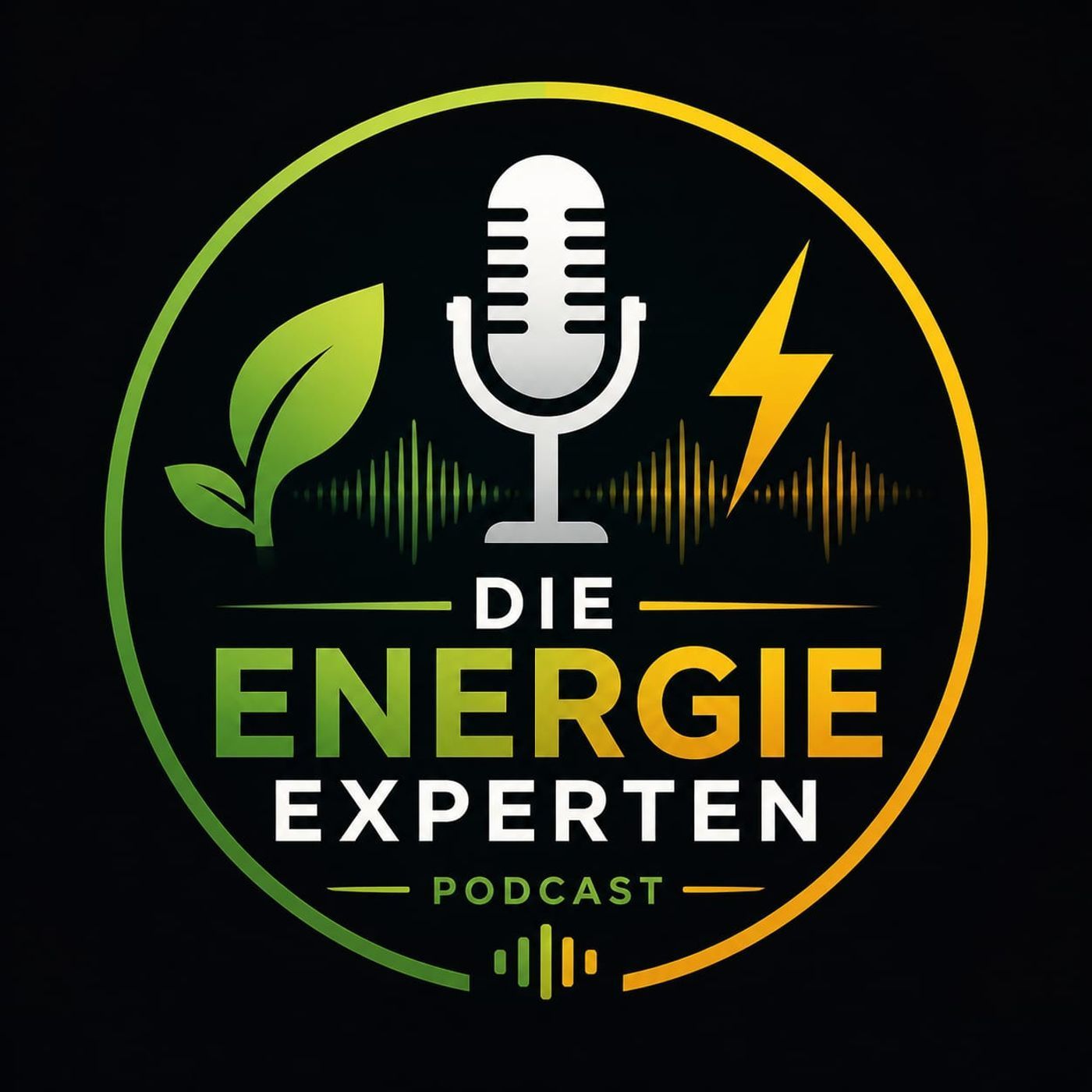 Die Energieexperten - Der SHK RealTalk für Unternehmer