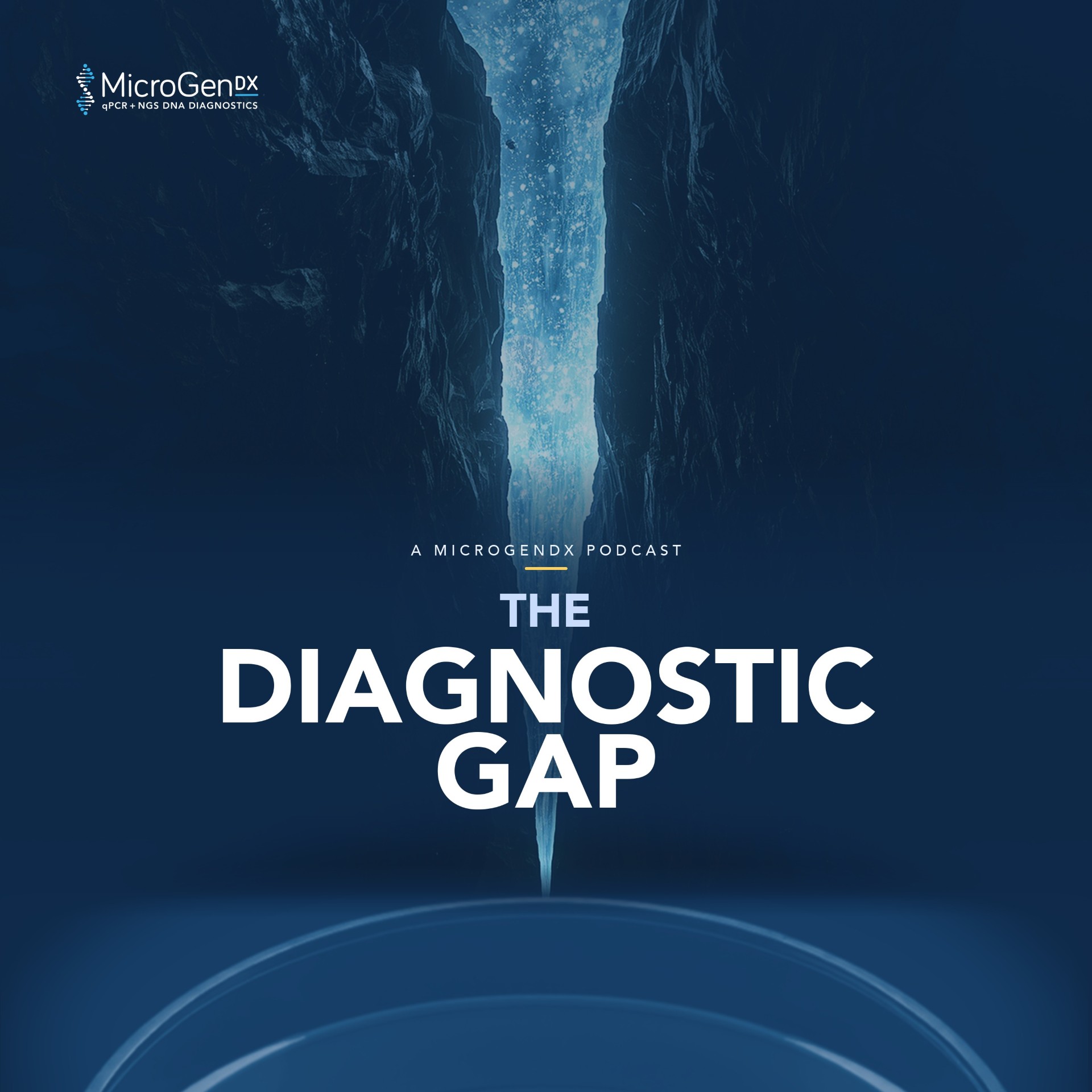 The Diagnostic Gap cover