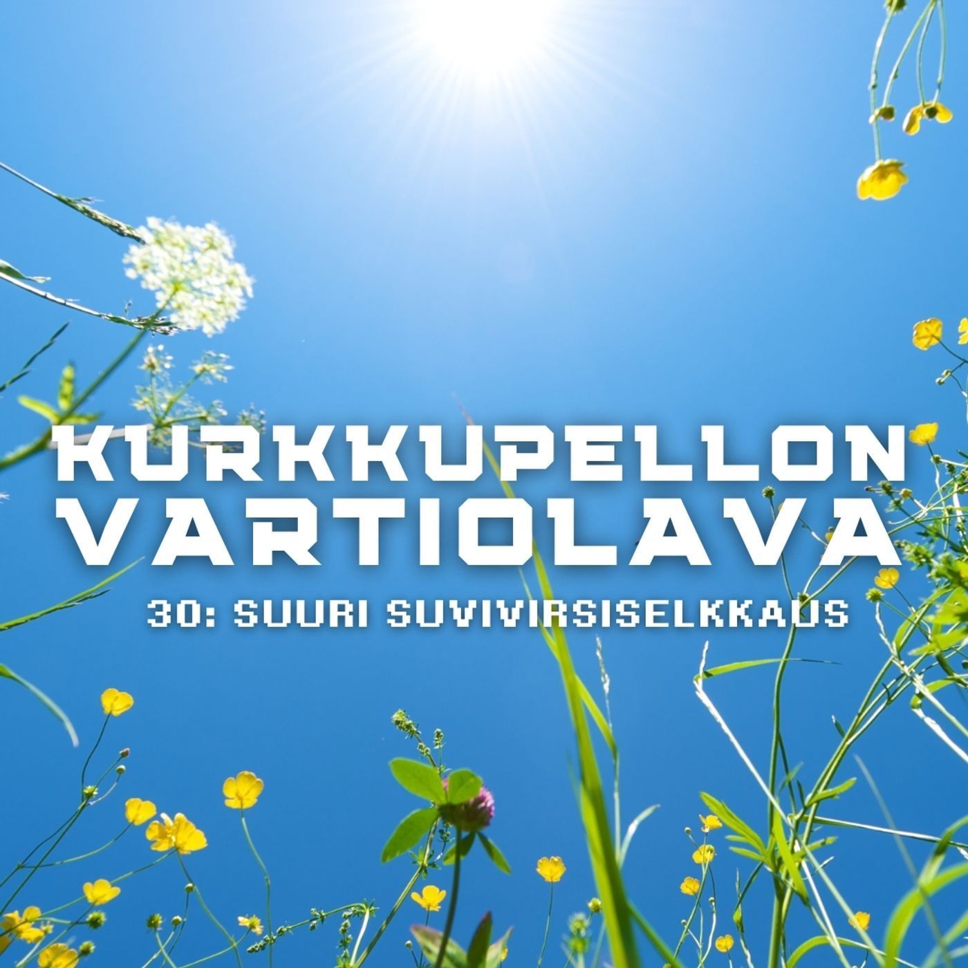 Suuri suvivirsiselkkaus episode artwork