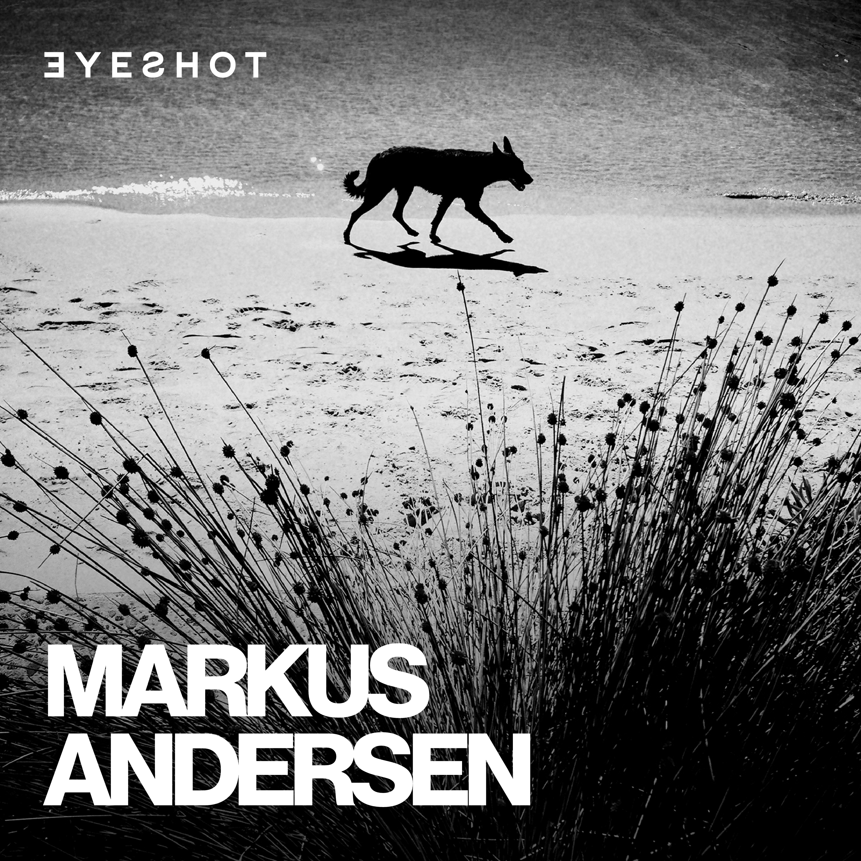 Markus Andersen: Stop Calling It Street Photography episode artwork