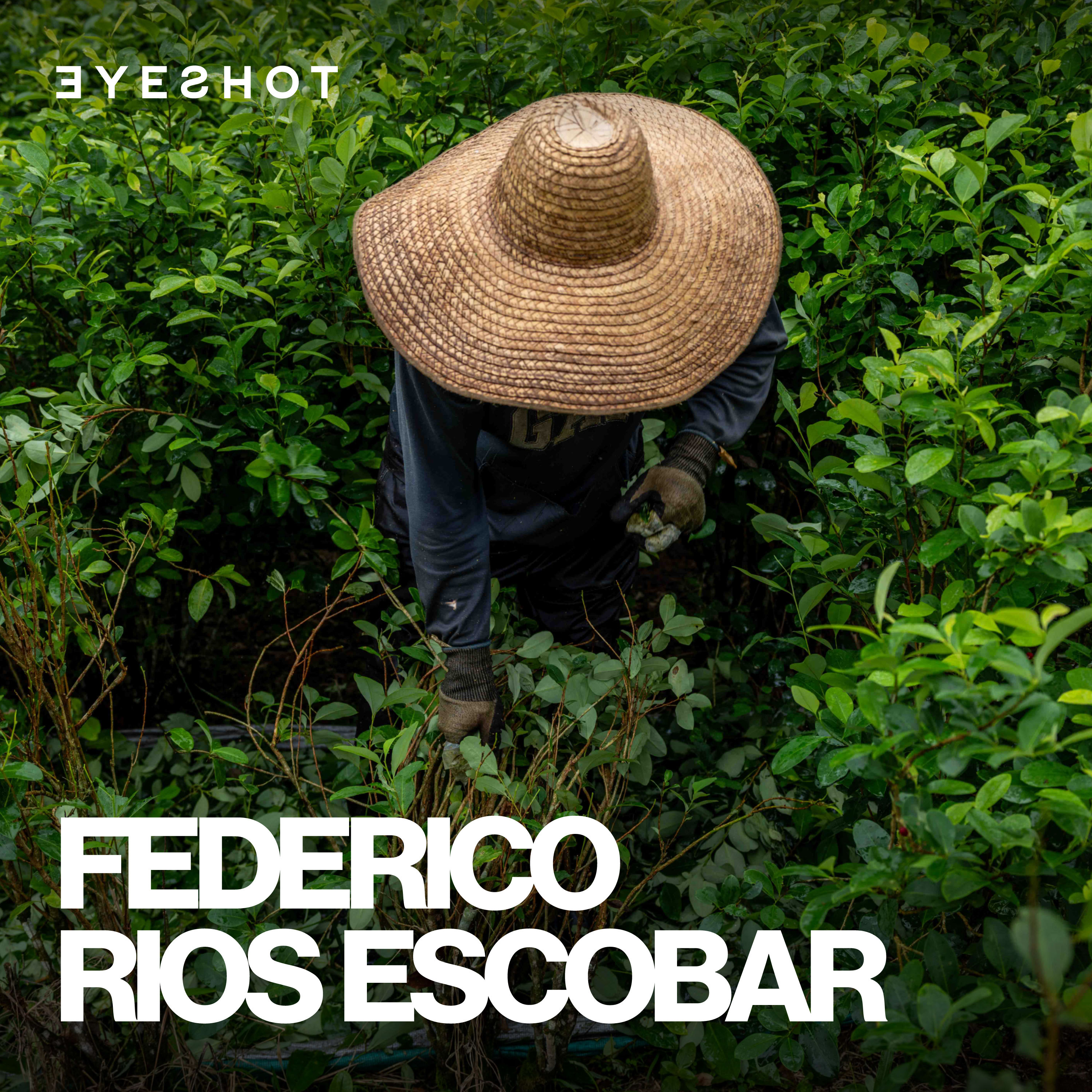 Federico Rios Escobar: Why the War on Drugs Has Failed  episode artwork