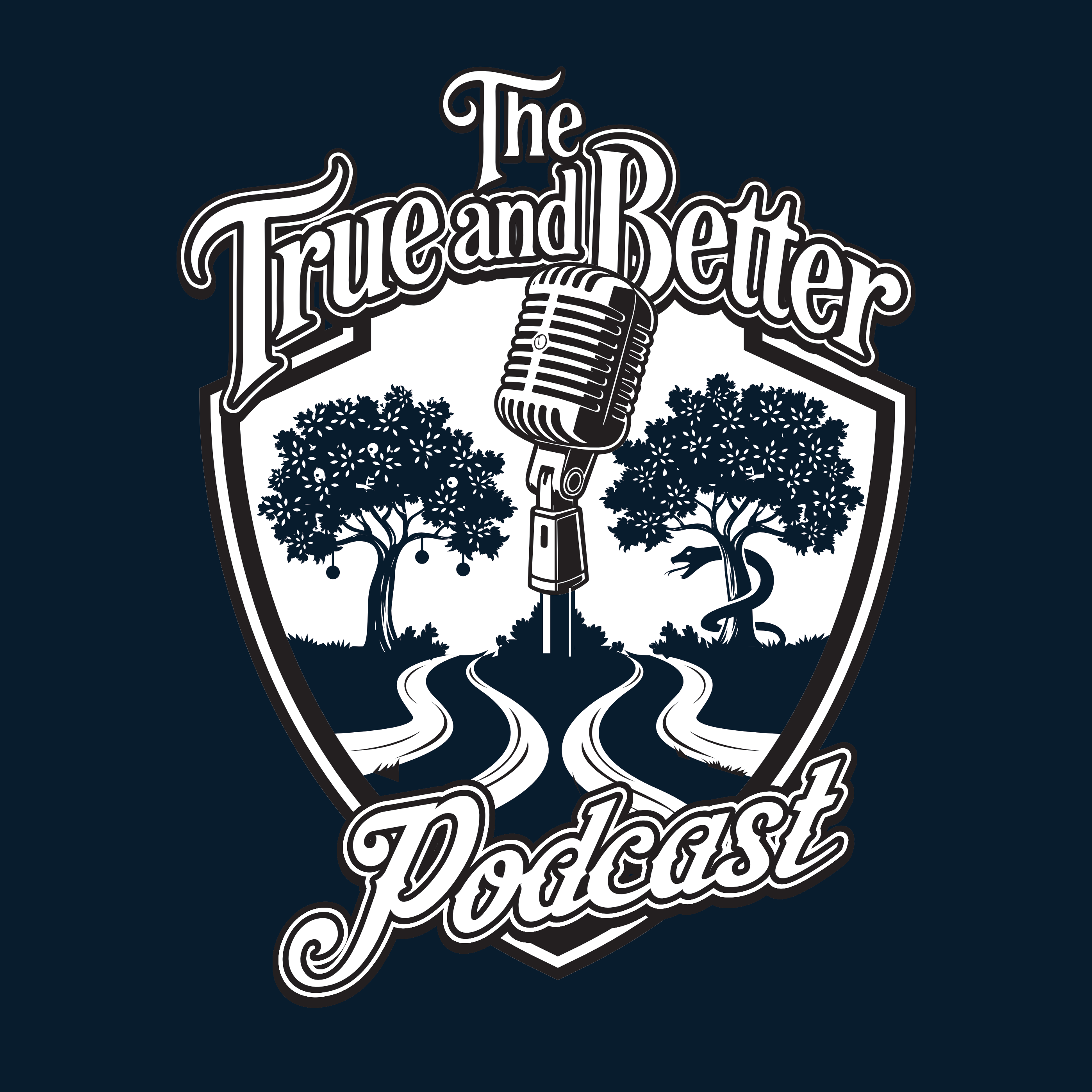 Ep. #2 How Jesus Fulfils Biblical Sonship episode artwork