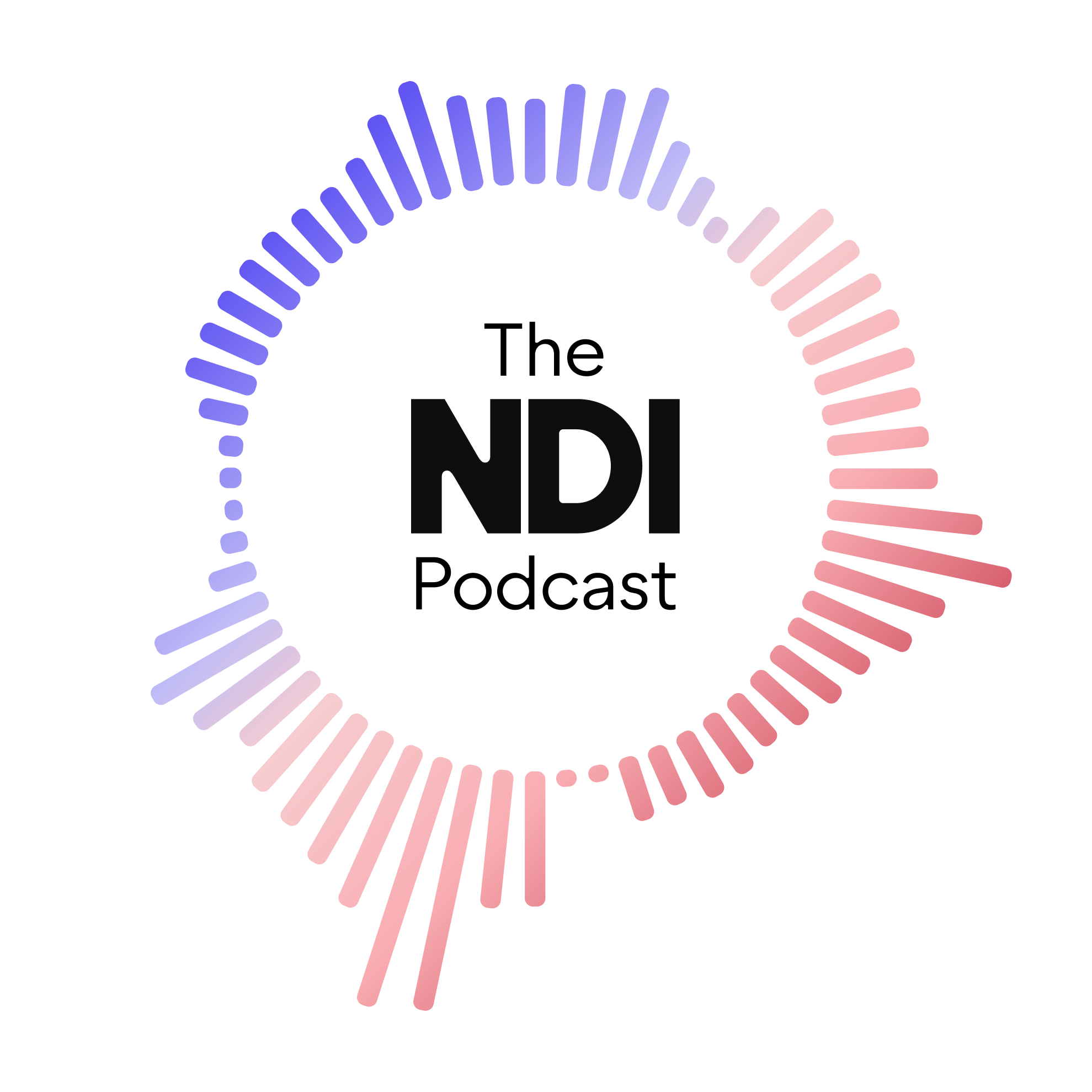 The NDI Podcast podcast artwork