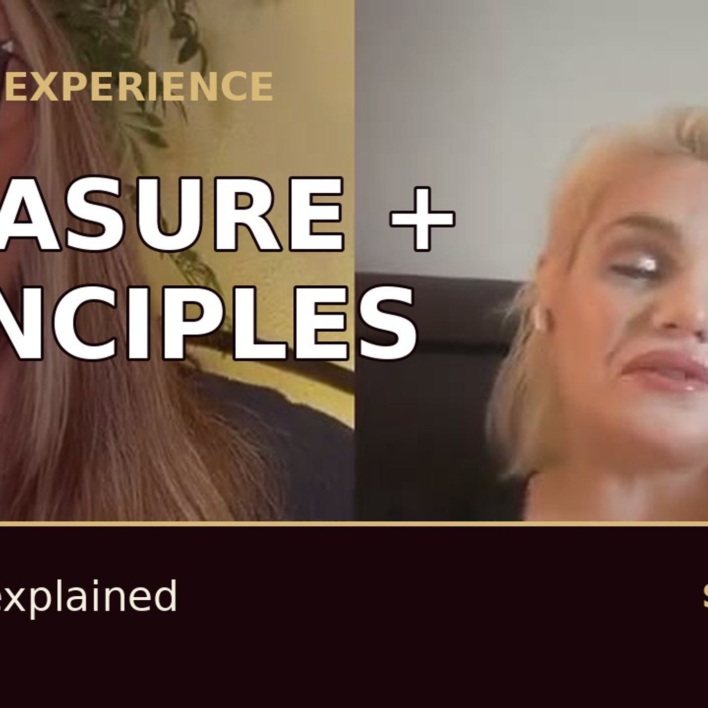Consent: Pleasure with Principles episode artwork