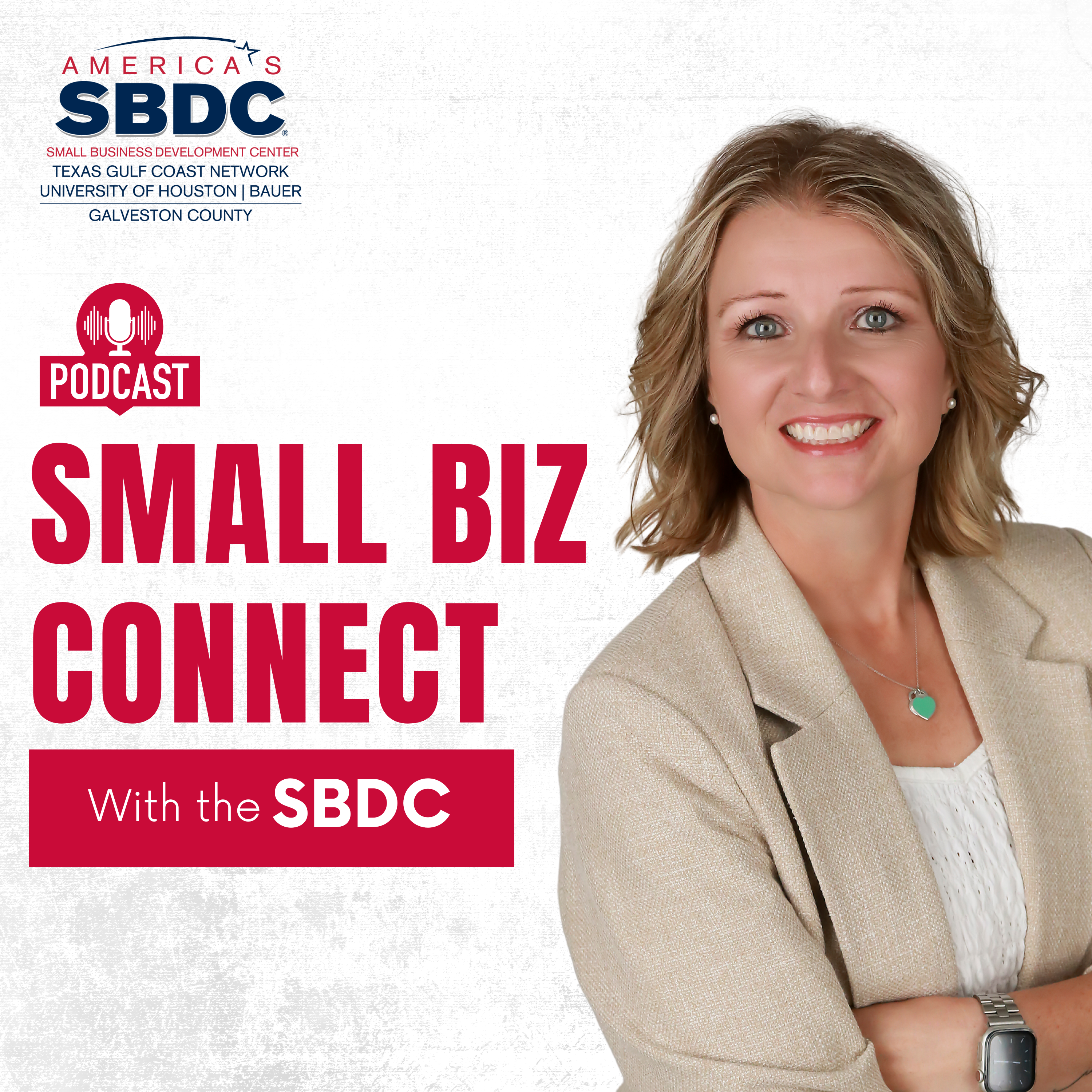 Small Biz Connect podcast artwork