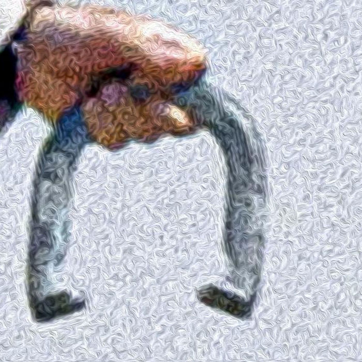 The Horseshoe Theory podcast artwork